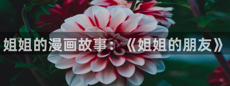 yy漫画在线：姐姐的漫画故事：《姐姐的朋友》