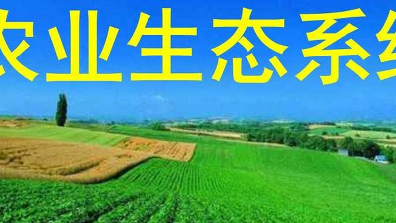 农业项目代理品牌：如何选择与评估？**