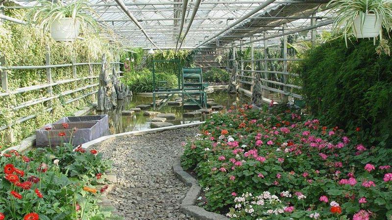 粮食种植补贴政策解析：了解补贴，助力丰收