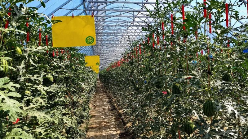 农资招标选平台，别让信息差吃掉你的利润