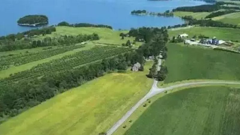 蔬菜水果配送箱尺寸标准：如何确保配送过程中的品质与安全