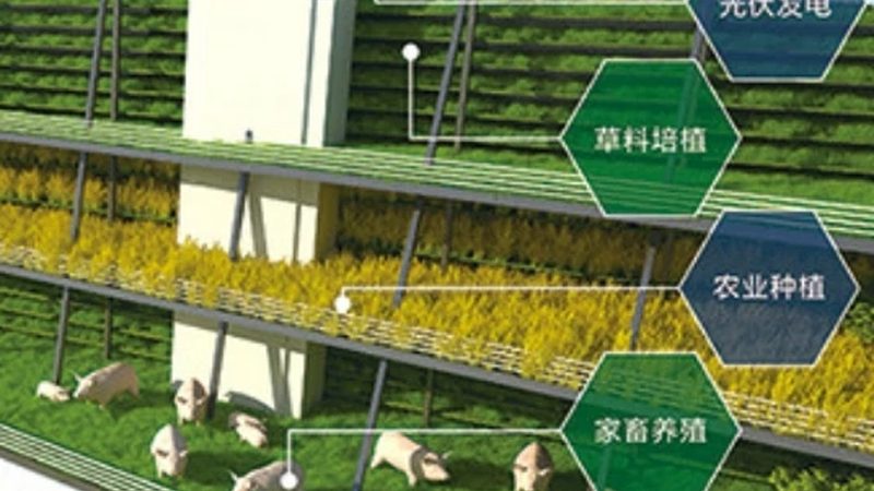 哈尔滨养殖有限公司