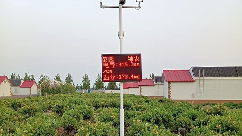 绿色食品标志：如何规范使用与下载
