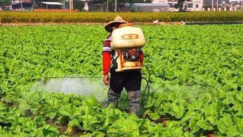 农资店加盟，如何选择优质品牌？**